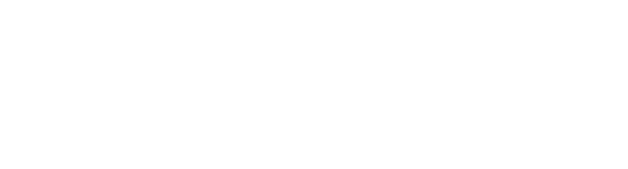 KP-logo-white